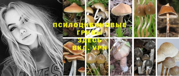 гашик Горно-Алтайск