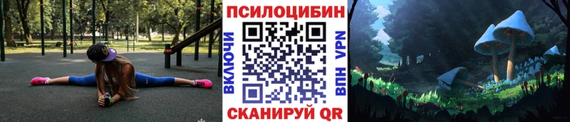 магазин продажи Зуевка Псилоцибиновые грибы мухоморы